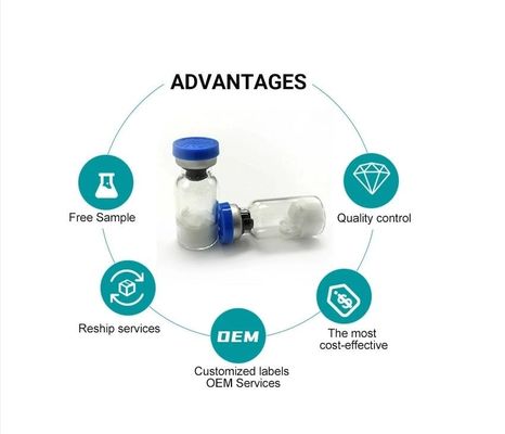 Bambuterol Hcl Pharma Pure Powder , Bronchial Asthma Treatment 81732-46-9