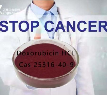 What is Doxorubicin A Clinically Important Cancer Chemotherapeutic Agent with Broad Spectrum of Activity