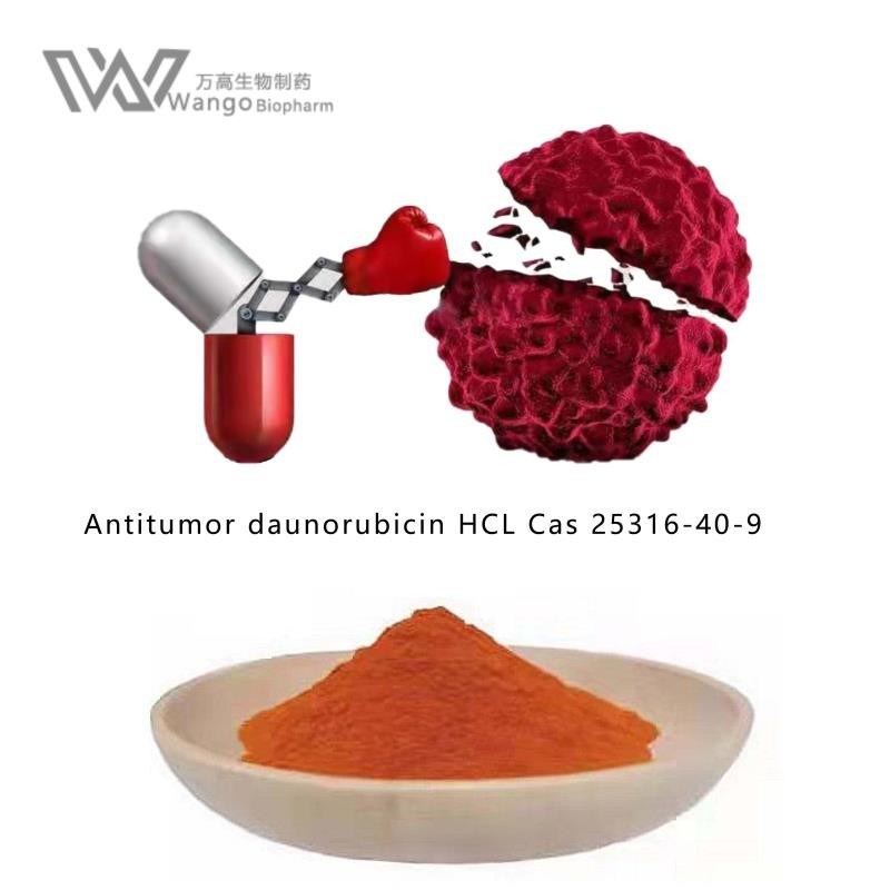 What is Doxorubicin A Clinically Important Cancer Chemotherapeutic Agent with Broad Spectrum of Activity