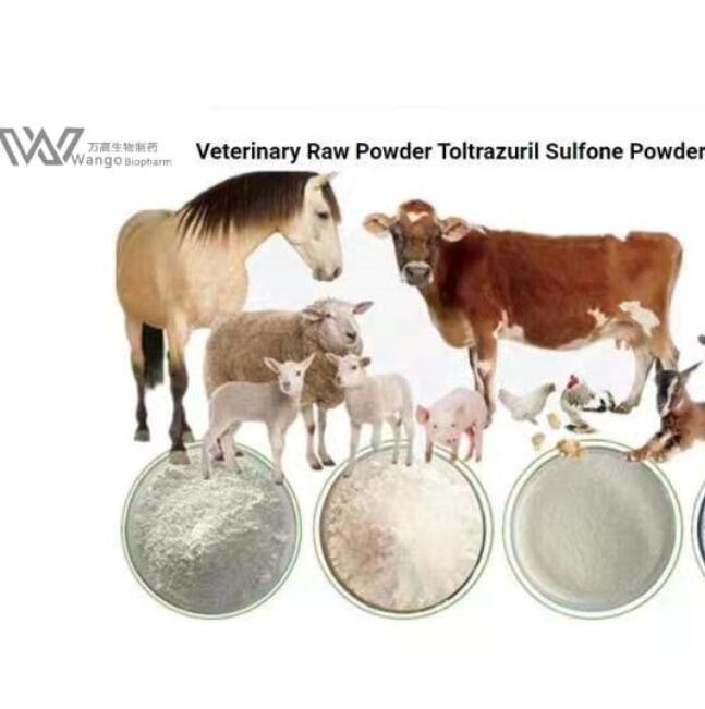 Toltrazuril Sulfone Veterinary API 69004-04-2 Kill Protozoal Parasites