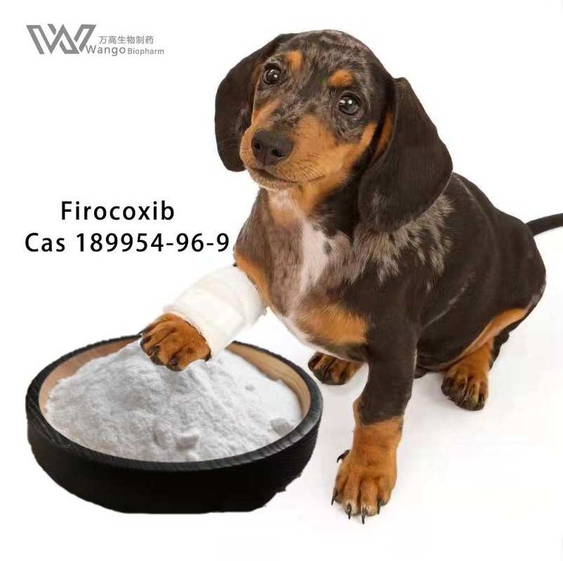 Firocoxib Veterinary API White Fine Powder GMP CAS 189954-96-9