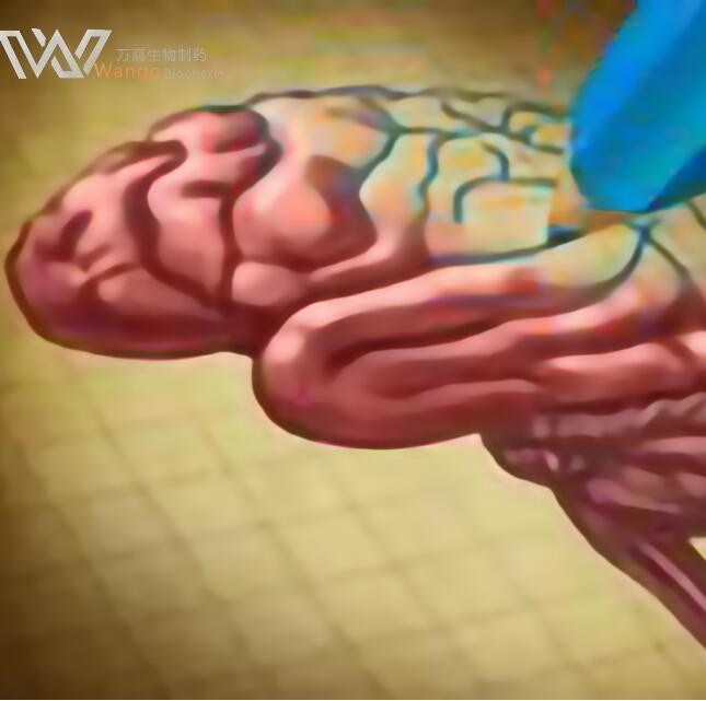 99% Purity CDP Choline Supplement Powder  Nootropics Cas987-78-0