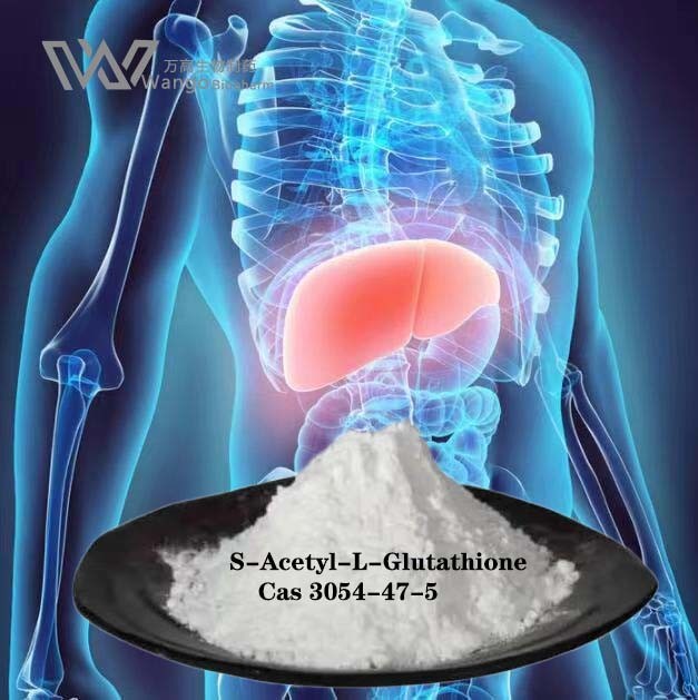 CAS 3054-47-5 S Acetyl Glutathione Powder Protect Liver