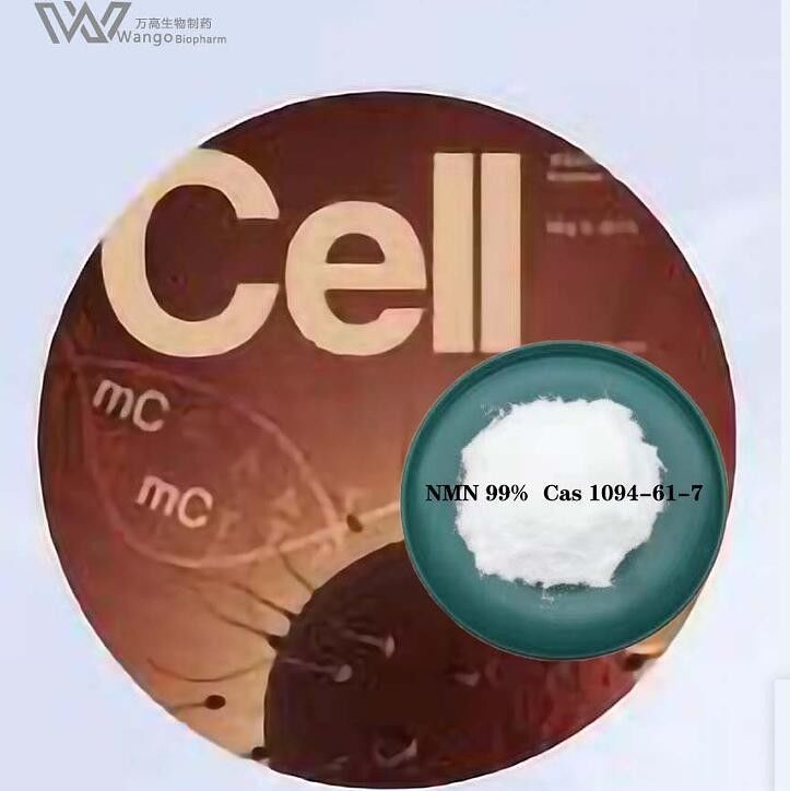 NMN Nicotinamide Riboside Chloride Powder For Anti Aging CAS 1094-61-7