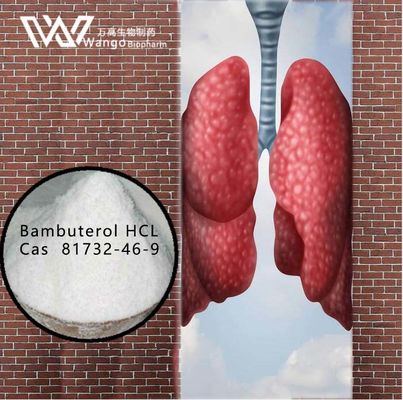 기관지 천식 처리를 위한 Bambuterol HCL 99% 반대로 천식 대리인 81732-46-9