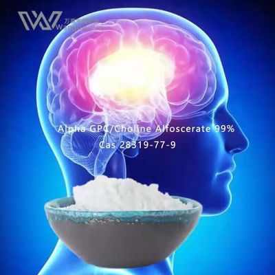 HPLC Nootropics 대량 분말, 알파 Gpc 아세틸콜린 28319-77-9