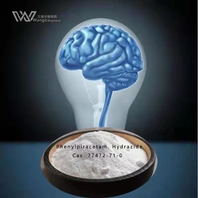 Phenylpiracetam Hydrazide Nootropics 대량 분말 GMP CAS 77472-71-0